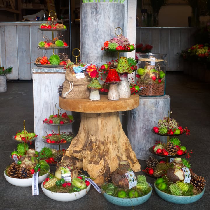 Als het buiten guur is en je zoekt de warmte binnen op, wil je het thuis ook extra gezellig maken.